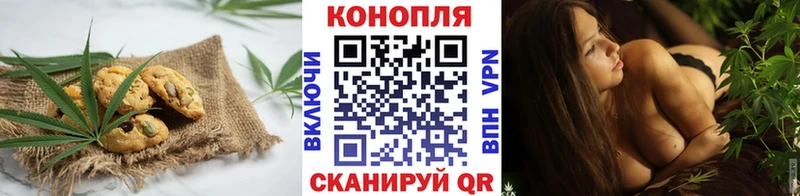 купить наркотики сайты  shop какой сайт  Печенье с ТГК марихуана  Чкаловск 