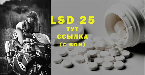 ГАЛЛЮЦИНОГЕННЫЕ ГРИБЫ Осинники