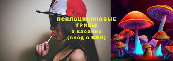 spice Нягань