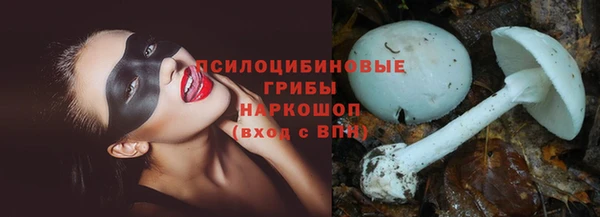 spice Нягань