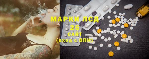 ГАЛЛЮЦИНОГЕННЫЕ ГРИБЫ Осинники