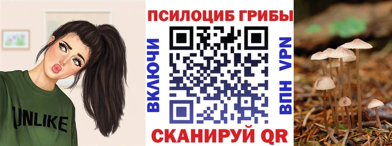 Псилоцибиновые грибы мухоморы Чкаловск